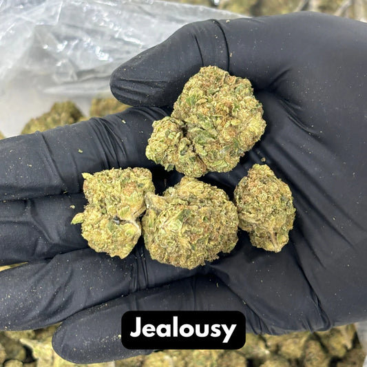 Bulk Natural THC-A Flower (Jealousy) - Dr. Phil N. Good’s Wellness Center