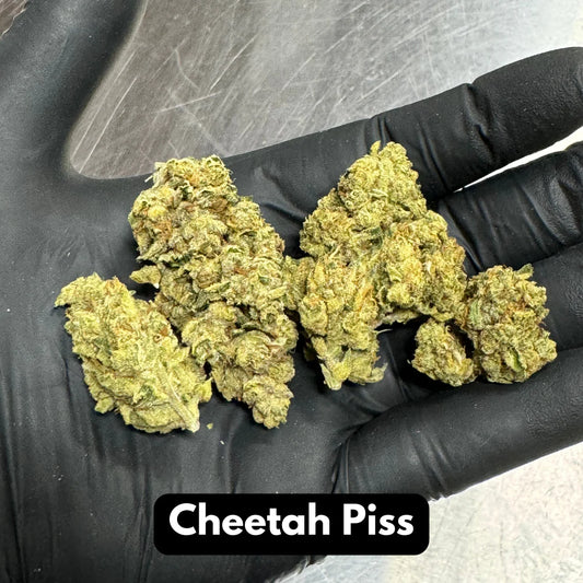 Bulk Natural THC-A Flower (Cheetah Piss) - Dr. Phil N. Good’s Wellness Center