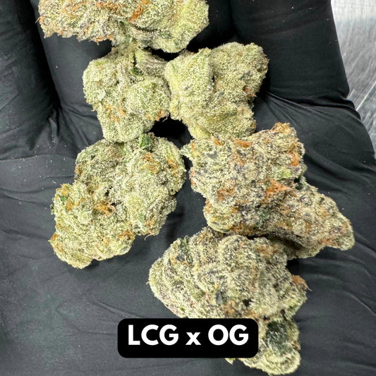 Bulk Natural THC-A Flower (LCG x OG) - Dr. Phil N. Good’s Wellness Center